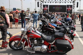 (Ảnh: Doãn Đức/Vietnam+)