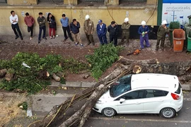 (Ảnh: Ngọc Liên/Vietnam+)