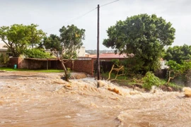 Ảnh minh họa. (Nguồn: Afrik 21)