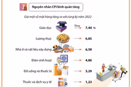 Chi tiết về mức tăng chỉ số giá tiêu dùng bình quân 3,25% của năm 2023