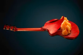 Rachel Rosenkrantz đã "tích hợp" tổ ong vào cây đàn guitar này. (Nguồn: CNN)