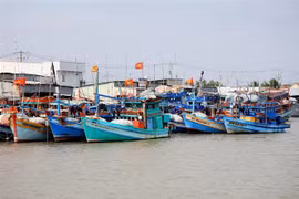Ảnh minh họa. (Ảnh: Hồng Đạt/TTXVN)