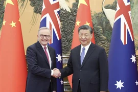 Thủ tướng Australia Anthony Albanese (trái) trong cuộc gặp Chủ tịch Trung Quốc Tập Cận Bình tại Đại Lễ đường Nhân dân ở Bắc Kinh, ngày 6/11/2023. (Ảnh: THX/TTXVN)