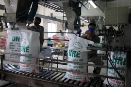 Đóng gói sản phẩm đạm urê tại Công ty đạm Ninh Bình. (Ảnh: Vũ Sinh/TTXVN)