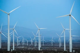 (Ảnh minh họa. Nguồn: THX/TTXVN)