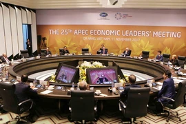 Bế mạc Hội nghị các Nhà lãnh đạo Kinh tế APEC lần thứ 25. (Ảnh: TTXVN)