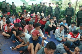 (Ảnh minh họa. Phạm Cường/TTXVN)