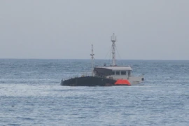 (Ảnh minh họa. Nguyễn Thành/TTXVN)