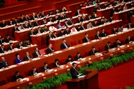 Ảnh minh họa. (Nguồn: EPA/TTXVN)