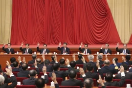 Ảnh minh họa. (Nguồn: AP/TTXVN)