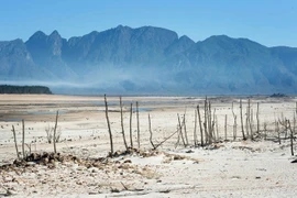 (Nguồn: AFP/TTXVN)