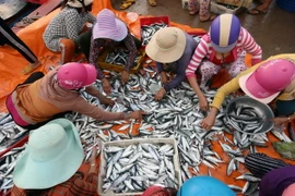 (Ảnh minh họa. Vũ Sinh/TTXVN)