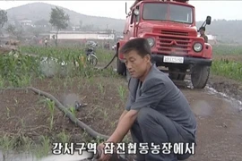 Người dânTriều Tiên bơm nước vào những cánh đồng khô hạn ngày 26/6. (nguồn: YONHAP/TTXVN)