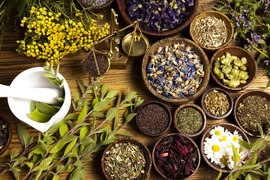 6 sản phẩm chiết xuất thảo dược có công dụng vượt trội cho làn da