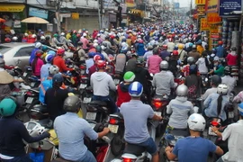 (Ảnh: Mạnh Linh/TTXVN)