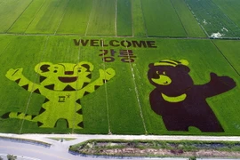 Bức tranh những linh vật của Thế vận hội mùa đông Pyeongchang 2018. (Nguồn: YONHAP/TTXVN)