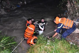 (Ảnh minh họa. Sỹ Tuyên/TTXVN)