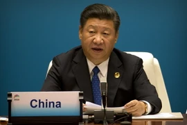 Chủ tịch Tập Cận Bình. (Nguồn: AFP/TTXVN)