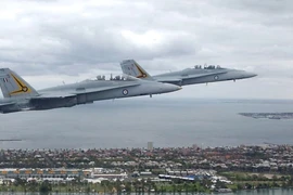 Máy bay FA-18. (Nguồn: Reuters)