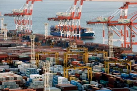 Bốc dỡ container hàng hóa tại cảng Tokyo, Nhật Bản. (Nguồn: EPA/TTXVN)