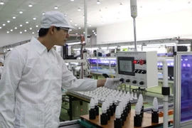 (Ảnh minh họa. Thanh Vũ/TTXVN)