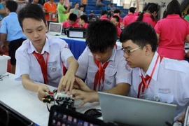 (Ảnh minh họa. Phương Vy/TTXVN)