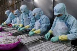 Chế biến thủy sản xuất khẩu. (Ảnh: Kim Há/TTXVN)