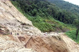 (Ảnh: Quang Thái/TTXVN)