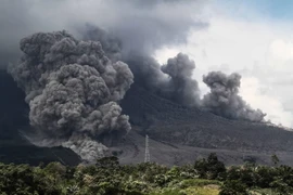 Núi lửa Sinabung tại Indonesia phun trào ngày 18/12. (Nguồn: THX/TTXVN)