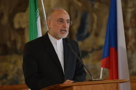 Ông Ali Akbar Salehi. (Nguồn: AFP/TTXVN)
