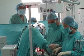 (Ảnh minh họa. Quốc Việt/TTXVN)