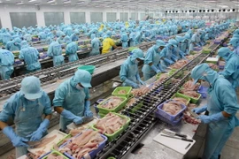Người lao động tại xưởng chế biến cá tra xuất khẩu của Công ty Bianfishco, thành phố Cần Thơ. (Ảnh: Huy Hùn/TTXVN)