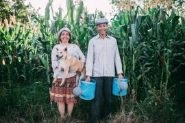 ''25 năm gắn bó cánh đồng'': Không gì đẹp hơn sự giản dị của tình yêu