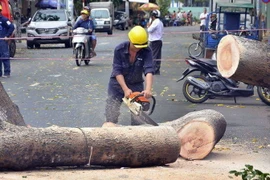 (Ảnh minh họa. Mạnh Linh/TTXVN)