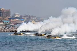 Lính thủy đánh bộ Hàn Quốc diễn tập đổ bộ trên bãi biển. (Nguồn: AFP/TTXVN)