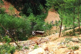 Xe ôtô tải lao xuống vực khiến bốn người chết tại chỗ, xe bị hư hỏng hoàn toàn. (Ảnh: Minh Đức/TTXVN phát)