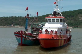 (Ảnh minh họa. Tá Chuyên/TTXVN)