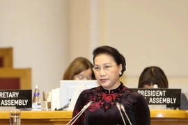 Chủ tịch Quốc hội Nguyễn Thị Kim Ngân. (Ảnh: Trọng Đức/TTXVN)