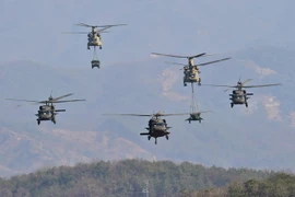 Ảnh minh họa. (Nguồn: AFP/TTXVN)