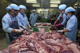 (Ảnh: Vũ Sinh/TTXVN)