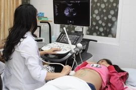 (Ảnh minh họa. Phương Vy/TTXVN)