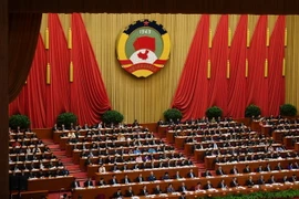 Ảnh minh họa. (Nguồn: AFP/TTXVN)