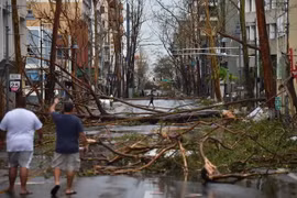 Cây cối bị quật đổ sau bão Maria tại San Juan, Puerto Rico ngày 20/9. (Nguồn: AFP/TTXVN)