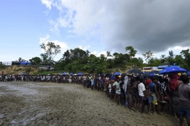 Người tị nạn Rohingya xếp hàng nhận thực phẩm cứu trợ tại trại tị nạn Balukhali gần Gumdhum, Bangladesh ngày 25/9. (Nguồn: AFP/TTXVN)