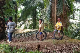 (Ảnh minh họa. Nguồn: aljazeera.com)