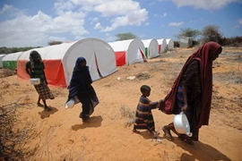 Ảnh minh họa. (Nguồn: AFP/TTXVN)