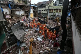 Ảnh minh họa. (Nguồn: EPA/TTXVN)