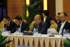 Đại biểu dự phiên họp kỹ thuật thứ 2 Hội nghị các Quan chức cao cấp APEC về Quản lý thiên tai lần thứ 11. (Ảnh: Thanh Tùng/TTXVN)