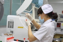 (Ảnh minh họa. Phương Vy/TTXVN)