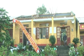 (Ảnh minh họa. Hương Thu/TTXVN)